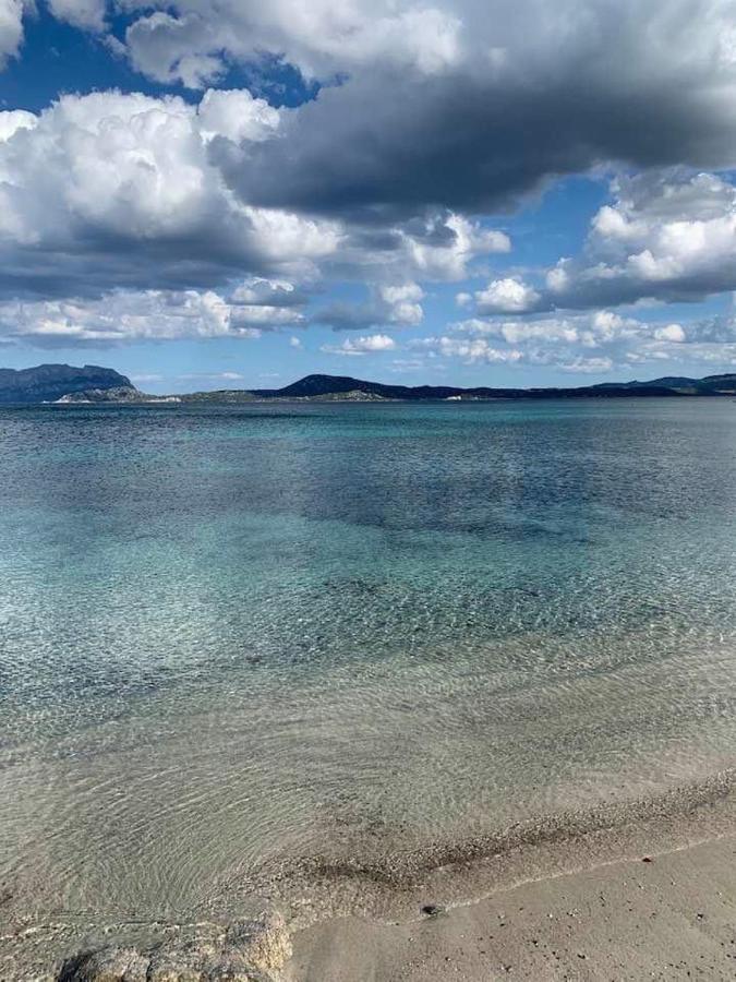Rosa Dei Venti - Casa Maestrale - Sardegna - Iun R2217 Olbia