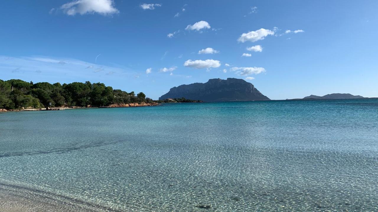 Rosa Dei Venti - Casa Maestrale - Sardegna - Iun R2217